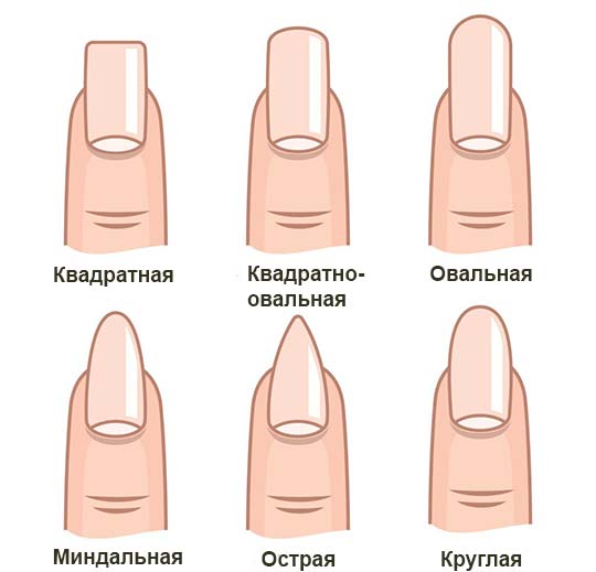 форма ногтей разновидности фото